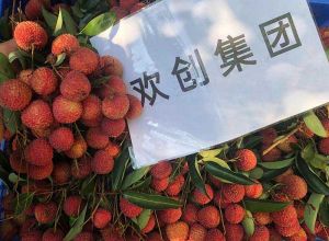 夏日好“枝”味，华体会(中国)集团发福“荔”啦